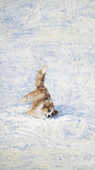 Original Painting "Snow and corgi"