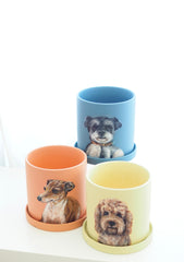 Customised Pet Pot, Hand-painting with Colourful pot, Personalised Gifts