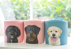 Customised Pet Pot, Hand-painting with Colourful pot, Personalised Gifts