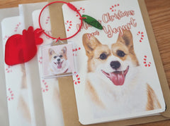 No.4 Customised Pet Portrait - Show Bag