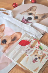 No.4 Customised Pet Portrait - Show Bag