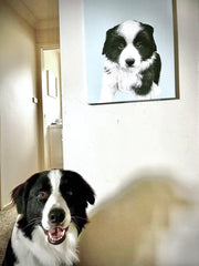 Customised Pet Portrait - Basic Canvas Printing 40x50cm no frame