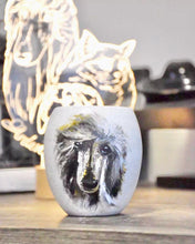 Load image into Gallery viewer, Customised Pet Pot, Animal Planter with white pot
