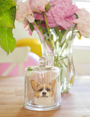 Customised Pet portrait, Home Decorative Glass Aroma Quartz Crystal Stone or Salt stone Fragrance Essential Oil Diffuser