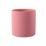 Customised Pet Pot, Hand-painting with Colourful pot, Personalised Gifts