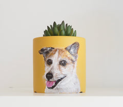 Customised Pet Pot, Hand-painting with Colourful pot, Personalised Gifts
