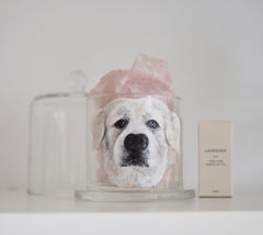 Customised Pet portrait, Home Decorative Glass Aroma Quartz Crystal Stone or Salt stone Fragrance Essential Oil Diffuser