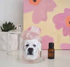Customised Pet portrait, Home Decorative Glass Aroma Quartz Crystal Stone or Salt stone Fragrance Essential Oil Diffuser