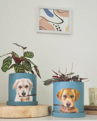 Customised Pet Pot, Hand-painting with Colourful pot, Personalised Gifts
