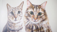 Customised Pet Portrait - Basic Canvas Printing 40x50cm no frame