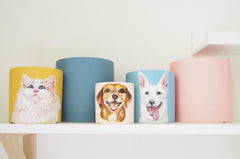 Customised Pet Pot, Hand-painting with Colourful pot, Personalised Gifts