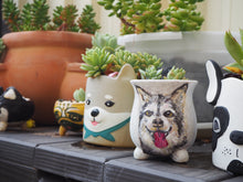 Load image into Gallery viewer, Customised Pet Pot, Animal Planter with white pot
