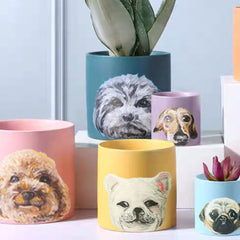 Customised Pet Pot, Hand-painting with Colourful pot, Personalised Gifts