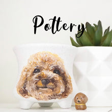 Load image into Gallery viewer, Customised Pet Pot, Animal Planter with white pot
